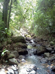 Quebrada El Pato