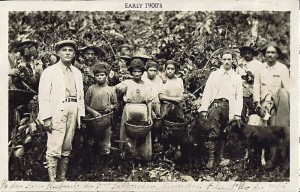 Great Grandfather at his coffee farm. Circa 1900